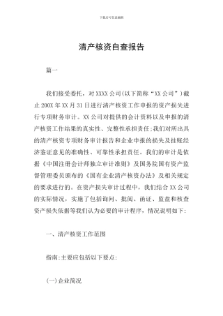 清产核资自查报告