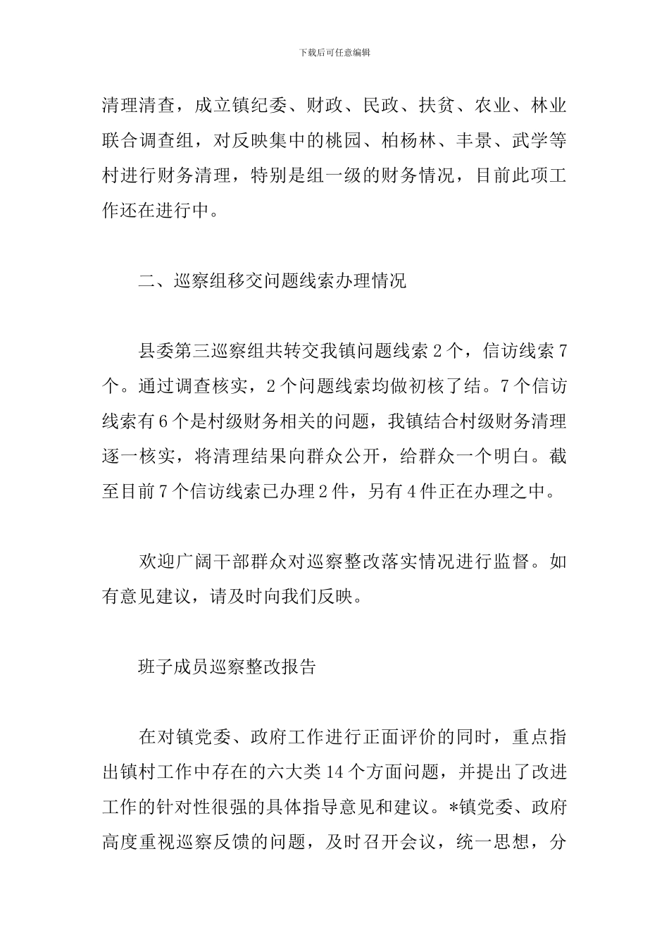 班子成员巡察整改报告_第3页