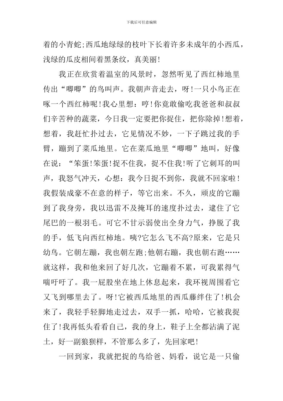 初中暑假生活记事作文800字_第3页