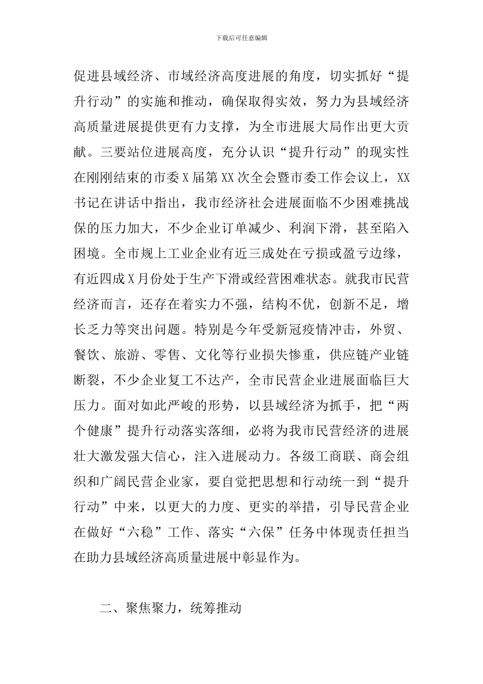 2024年在全市民营经济“两个健康”提升行动_第3页