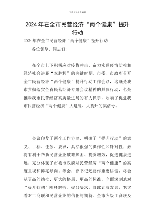 2024年在全市民营经济“两个健康”提升行动