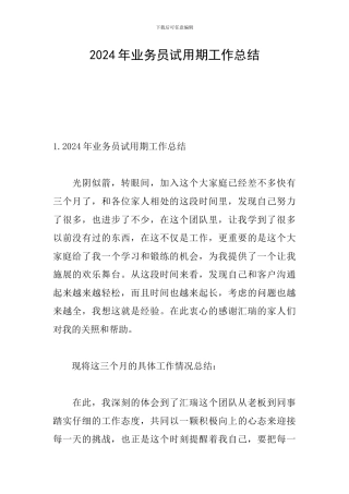 2024年业务员试用期工作总结