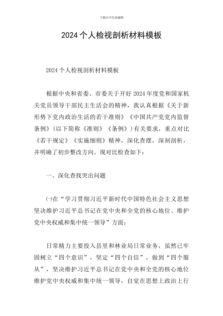2024个人检视剖析材料模板_第1页