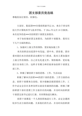 团支部委员竞选稿