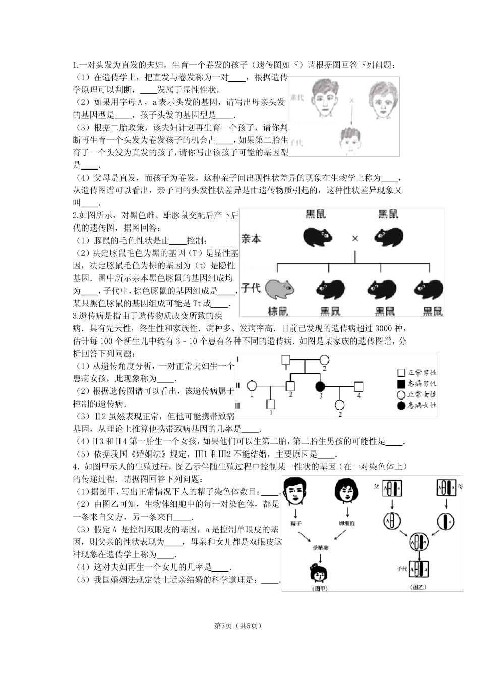 (完整版)第三节基因的显性和隐性练习题 _第3页