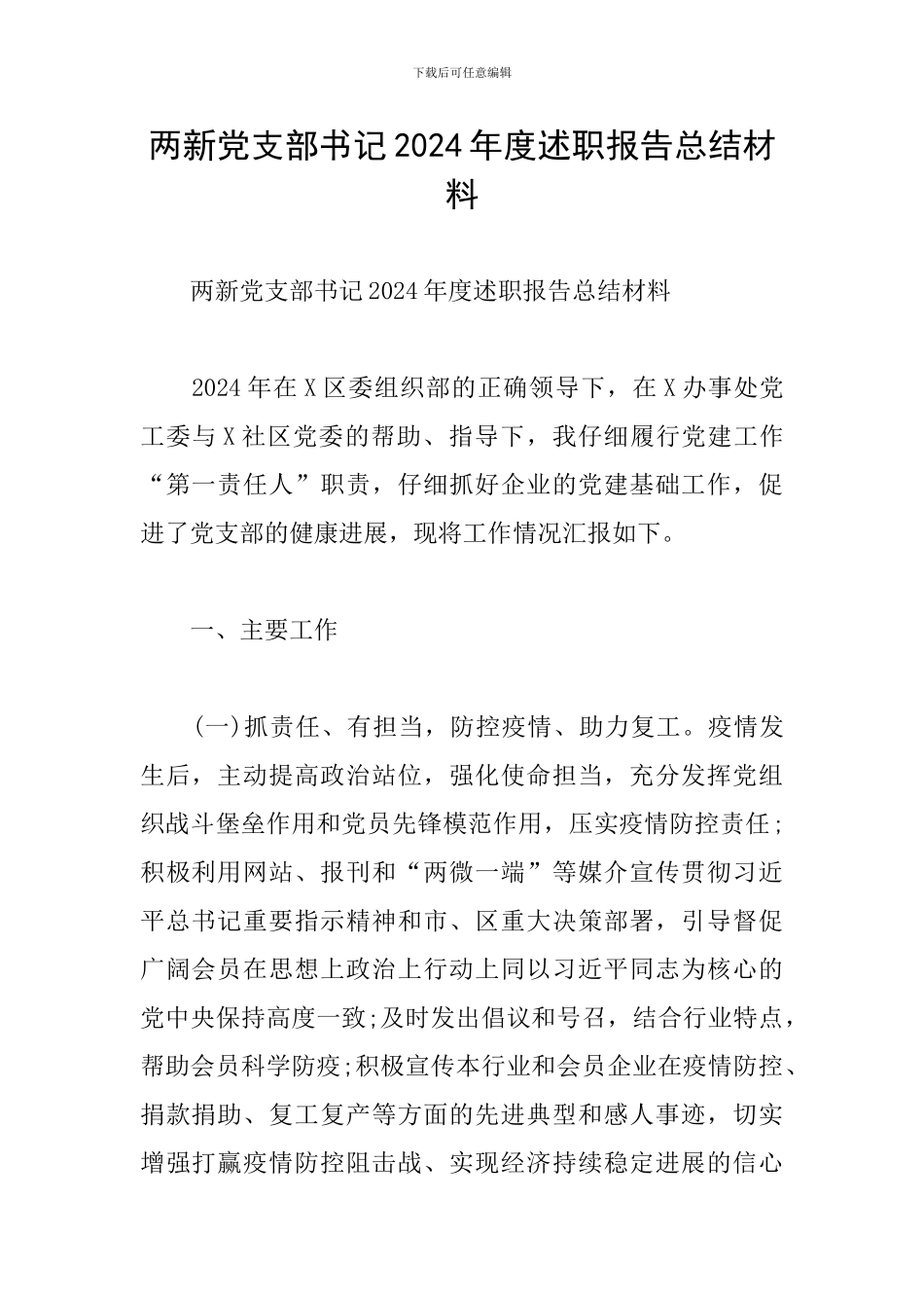 两新党支部书记2024年度述职报告总结材料_第1页