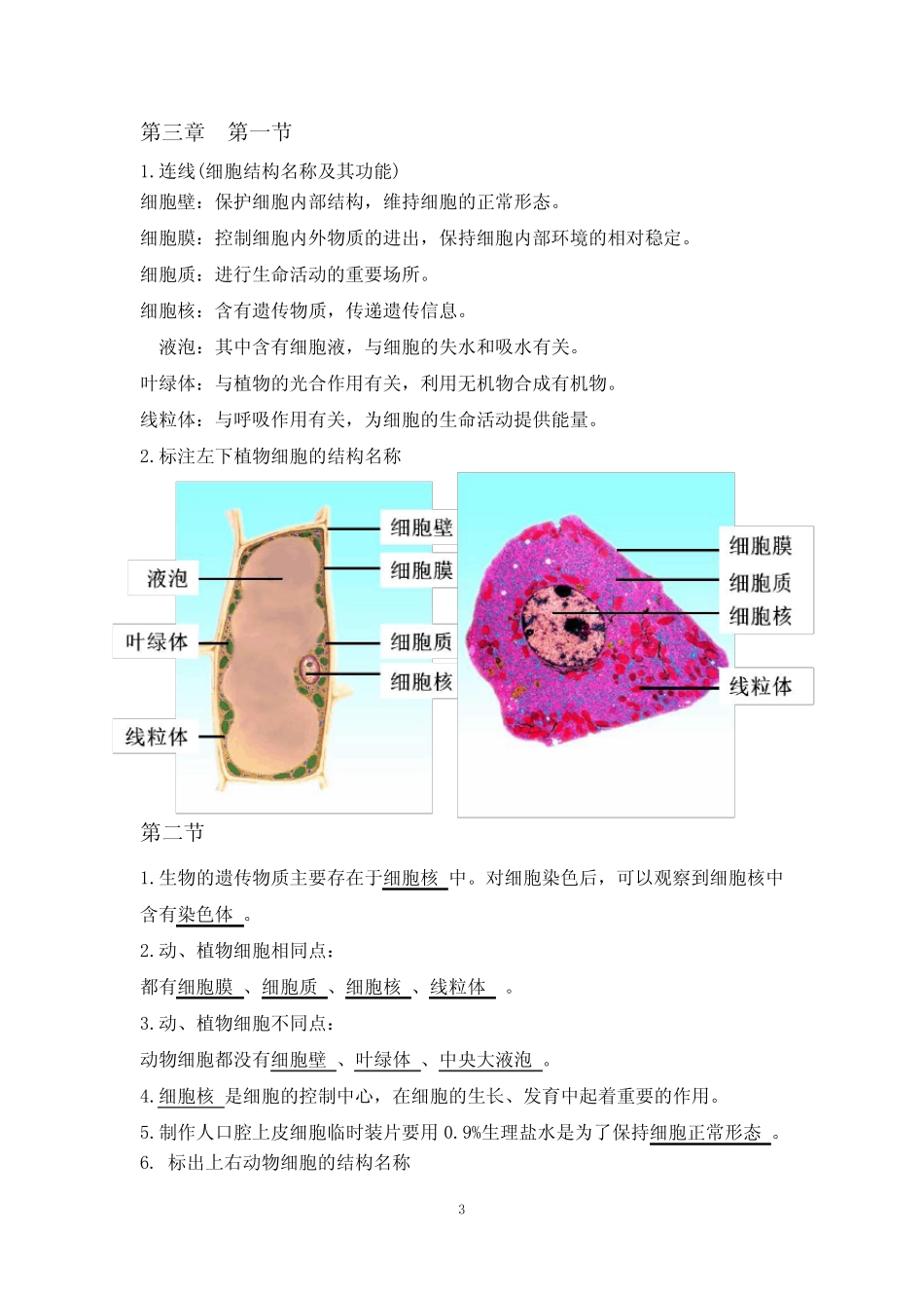 2023年最新初中生物(全四册)知识点中考全套知识点(附图片 _第3页