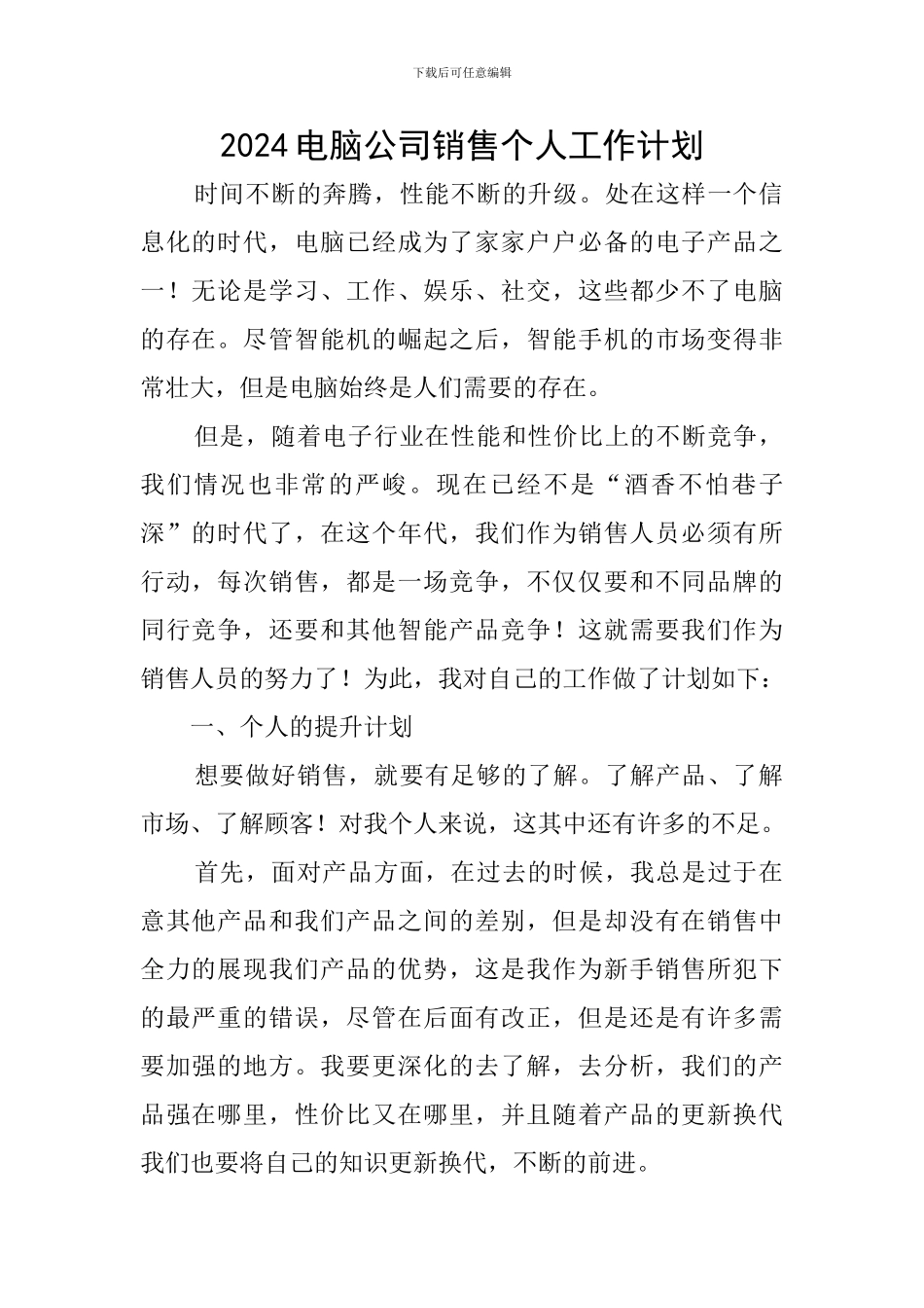 2024电脑公司销售个人工作计划_第1页