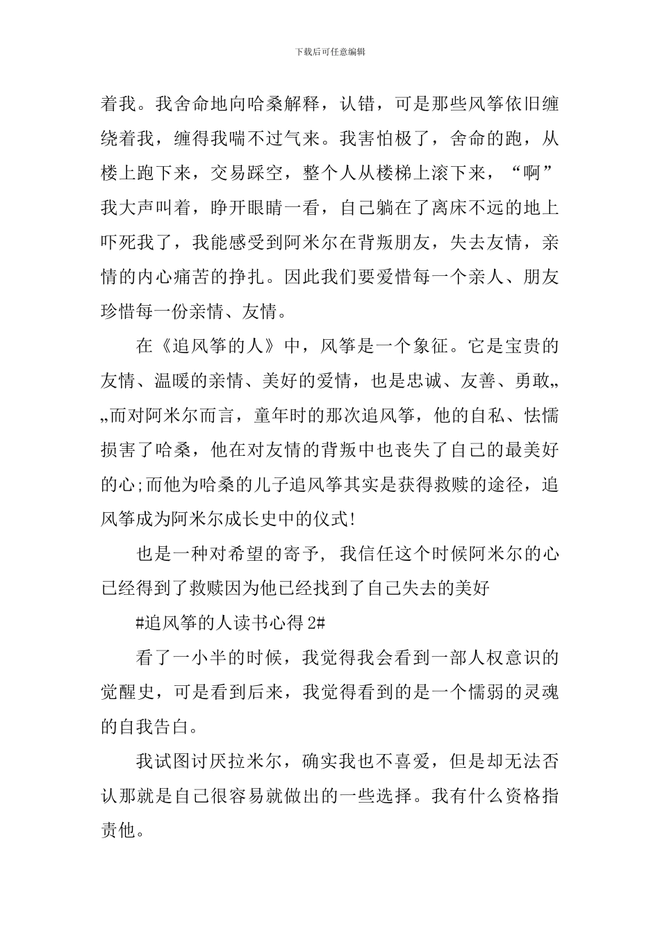 关于追风筝的人寒假读书心得_第2页