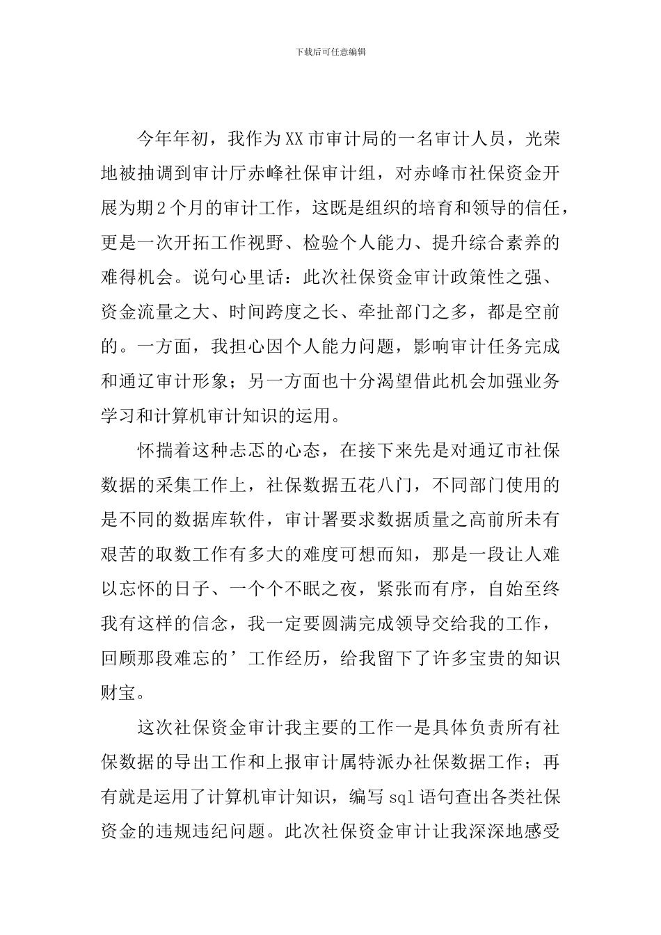 审计人员年终工作总结模板_第3页