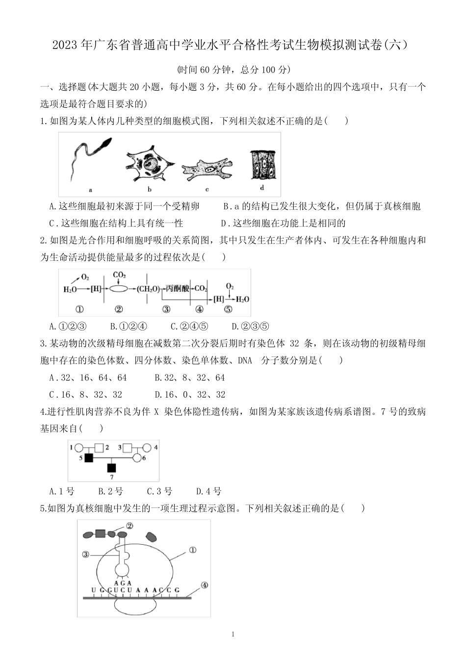 2023年广东省普通高中学业水平合格性考试生物模拟测试卷(六)(附答 _第1页