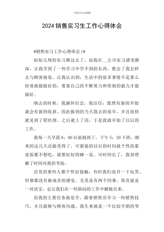2024销售实习生工作心得体会