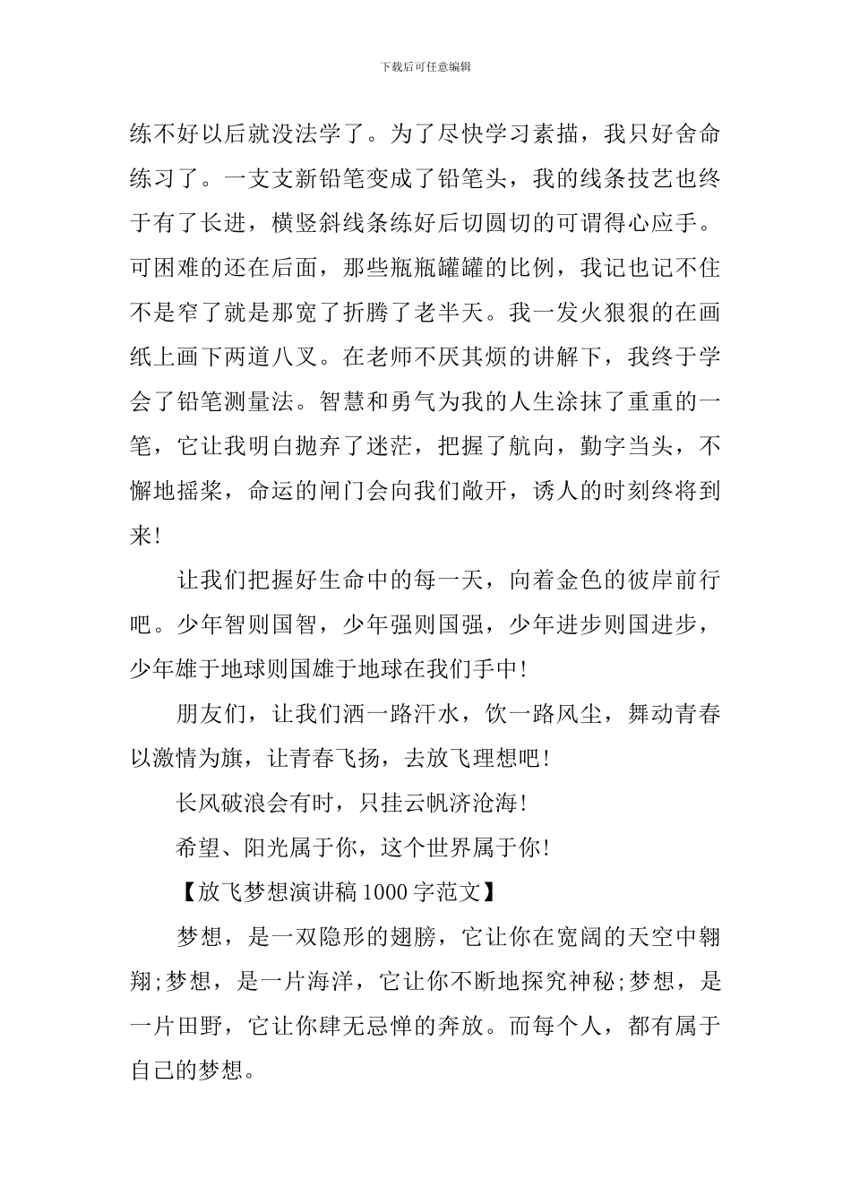 放飞梦想演讲稿1000字范文_第3页