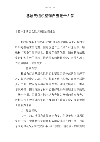 基层党组织整顿自查报告3篇