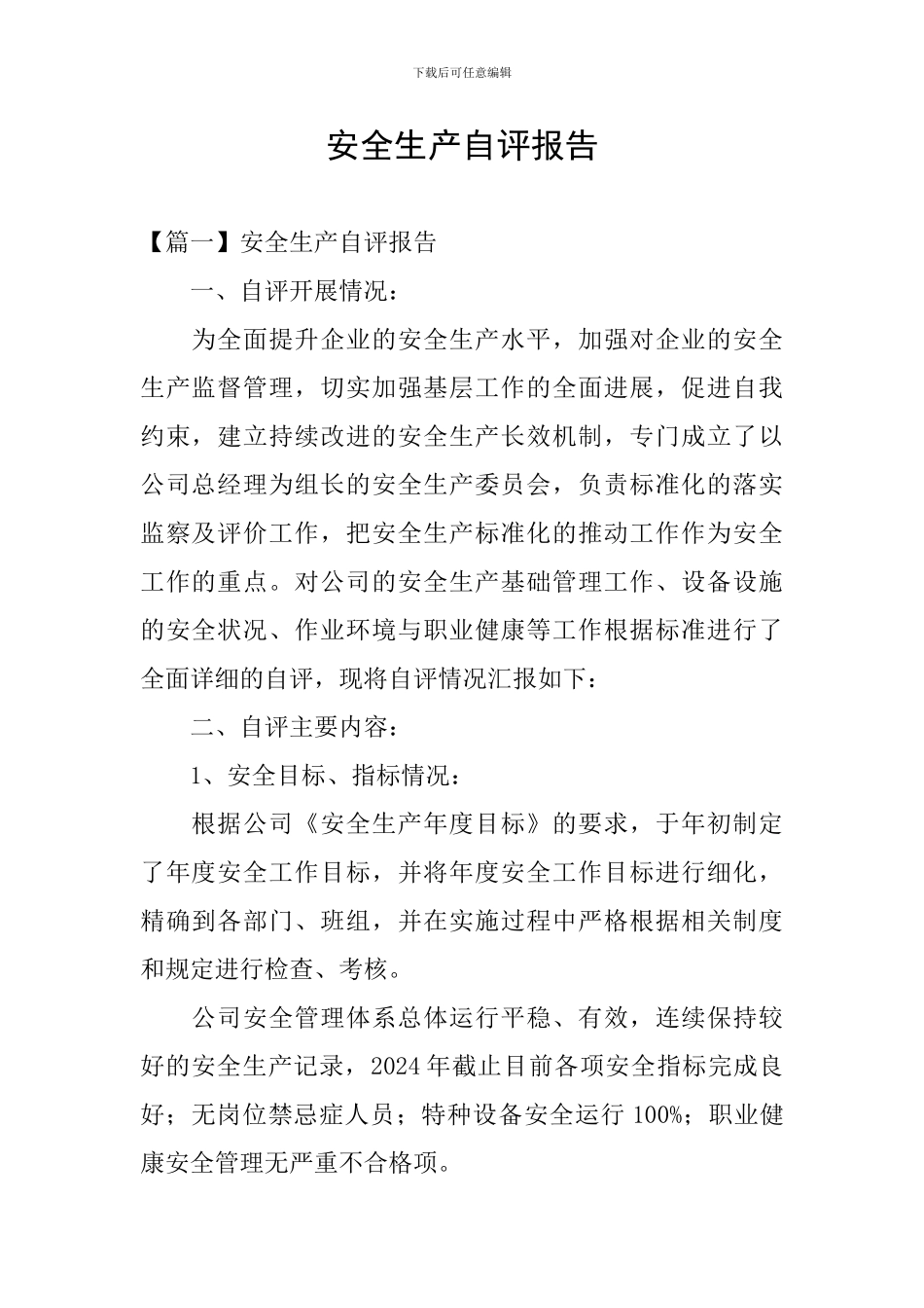 安全生产自评报告_第1页