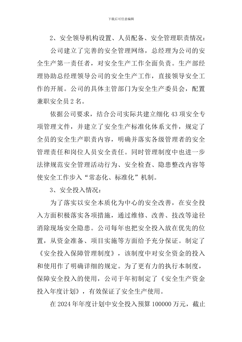 安全生产自评报告_第2页