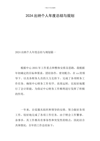 2024出纳个人年度总结与规划
