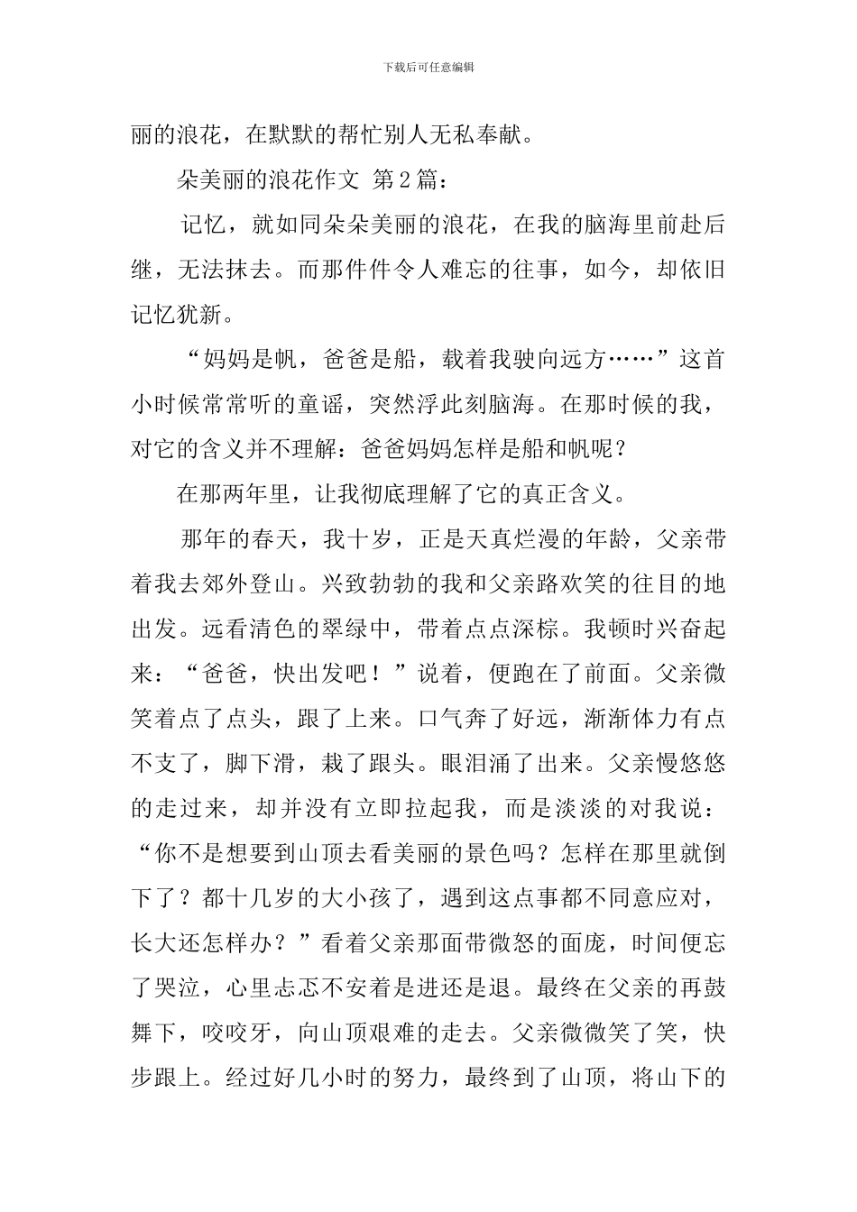 一朵美丽的浪花作文_第2页