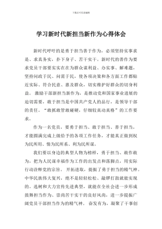 学习新时代新担当新作为心得体会