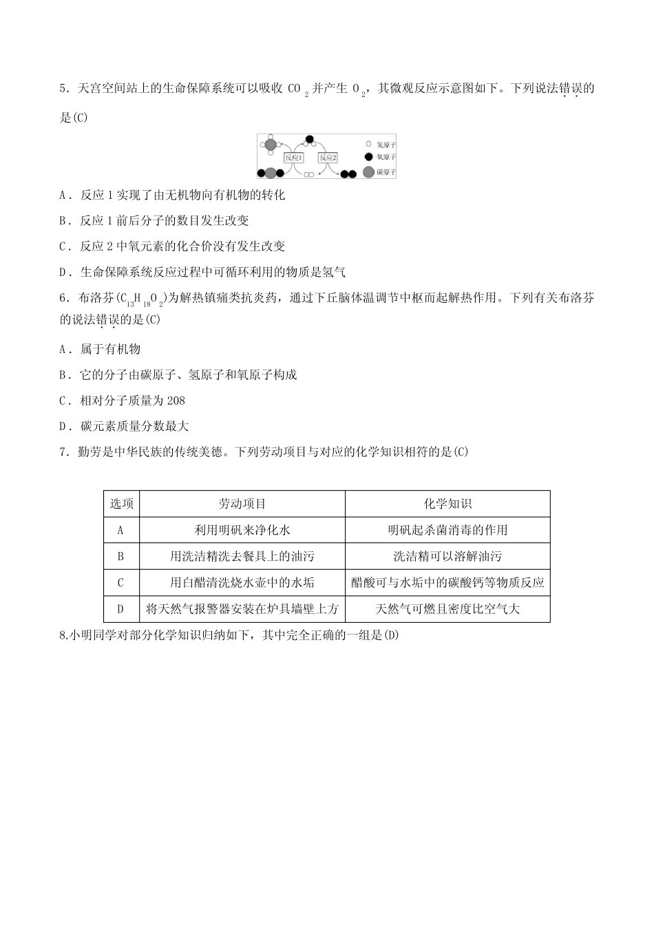 2023-2024学年度人教版化学九年级下册全册复习训练(二)答案版_第2页