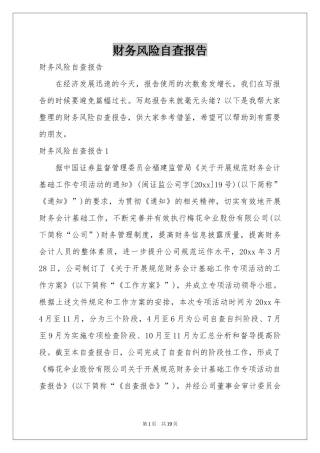 财务风险自查报告