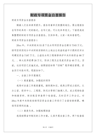 财政专项资金自查报告