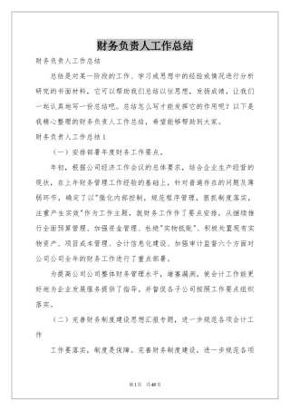 财务负责人工作参考总结