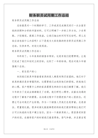 财务职员试用期工作参考总结