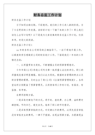 财务总监工作参考计划