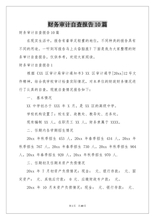 财务审计自查报告10篇