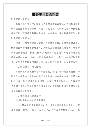 财务审计自查报告