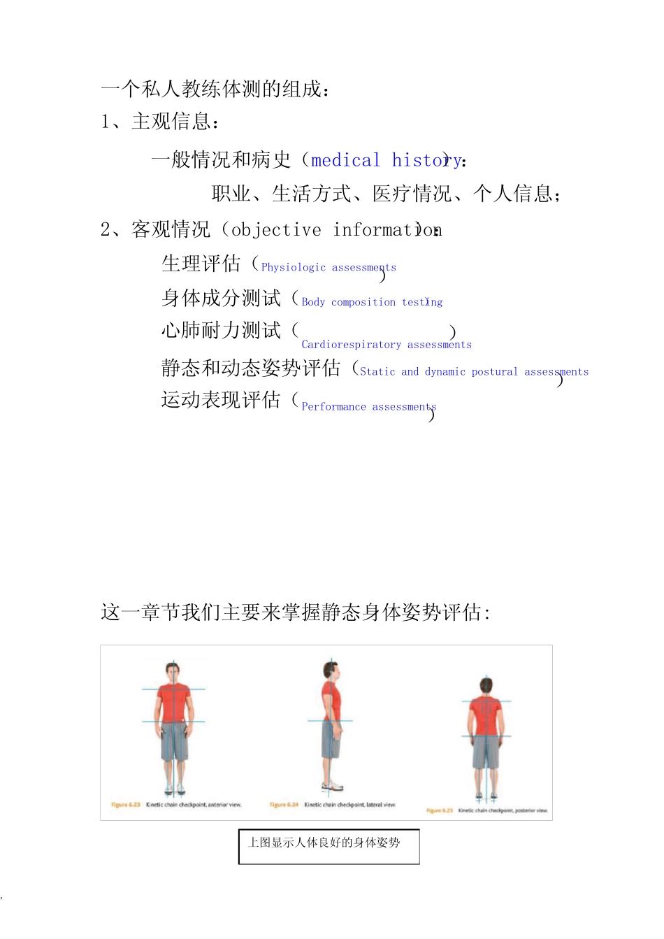 (完整版)新版私人教练专用—静态姿势评估课件_第2页