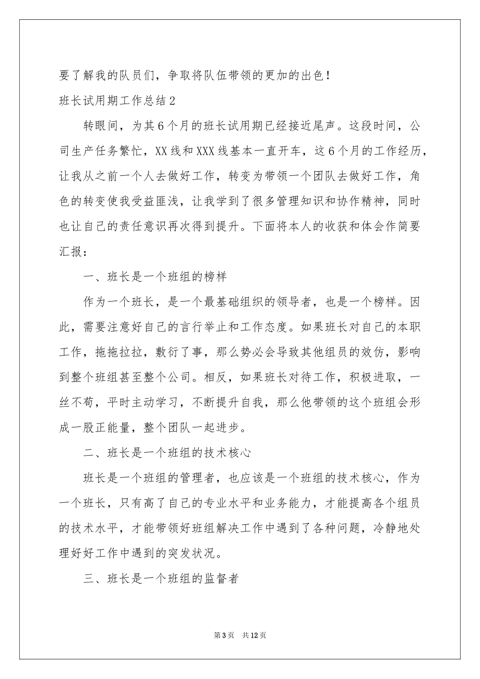 班长试用期工作参考总结_第3页