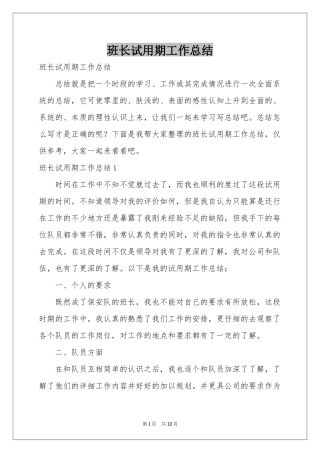 班长试用期工作参考总结