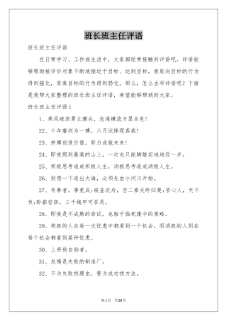 班长班主任评语