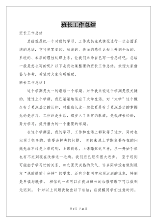 班长工作参考总结