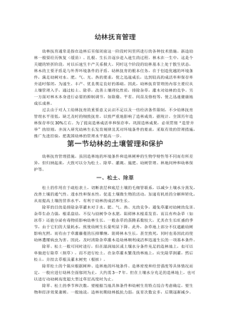 幼林抚育管理