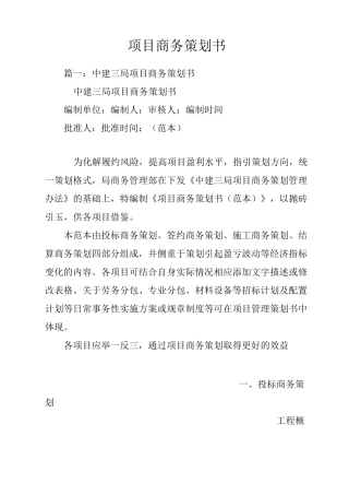 项目商务策划书