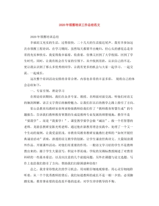 2020年领雁培训工作总结范文