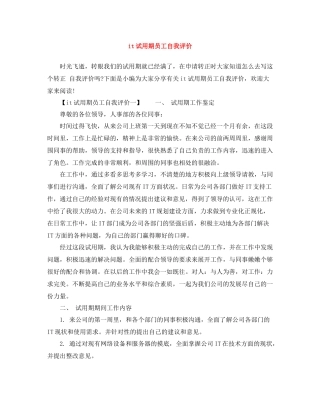 it试用期员工自我评价