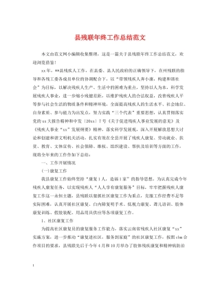 县残联年终工作总结范文