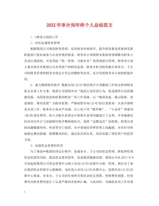 审计局年终个人总结范文2
