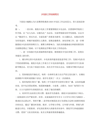 少先队工作总结范文2