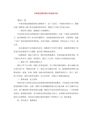 乡村党支部年度工作总结