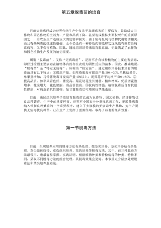 第五章  脱毒苗的培育