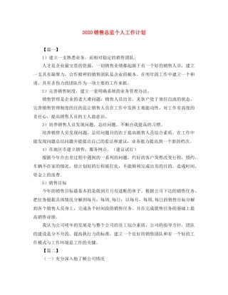 2020销售总监个人工作计划 