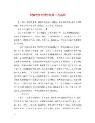 乡镇大学生村官年终工作总结