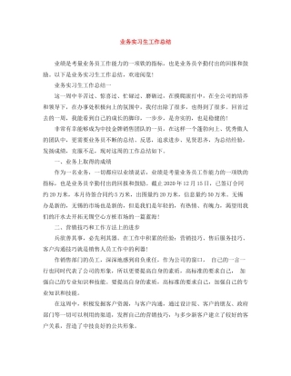 业务实习生工作总结