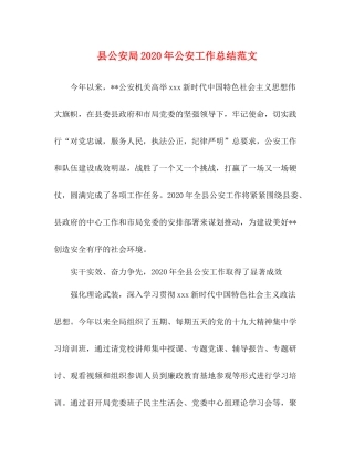 县公安局年公安工作总结范文