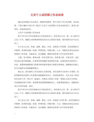 文员个人试用期工作总结表